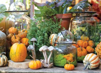 An Autumn Bliss Preview