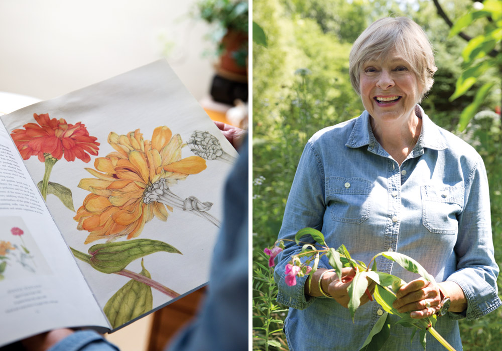 To Capture the Radiant Bloom