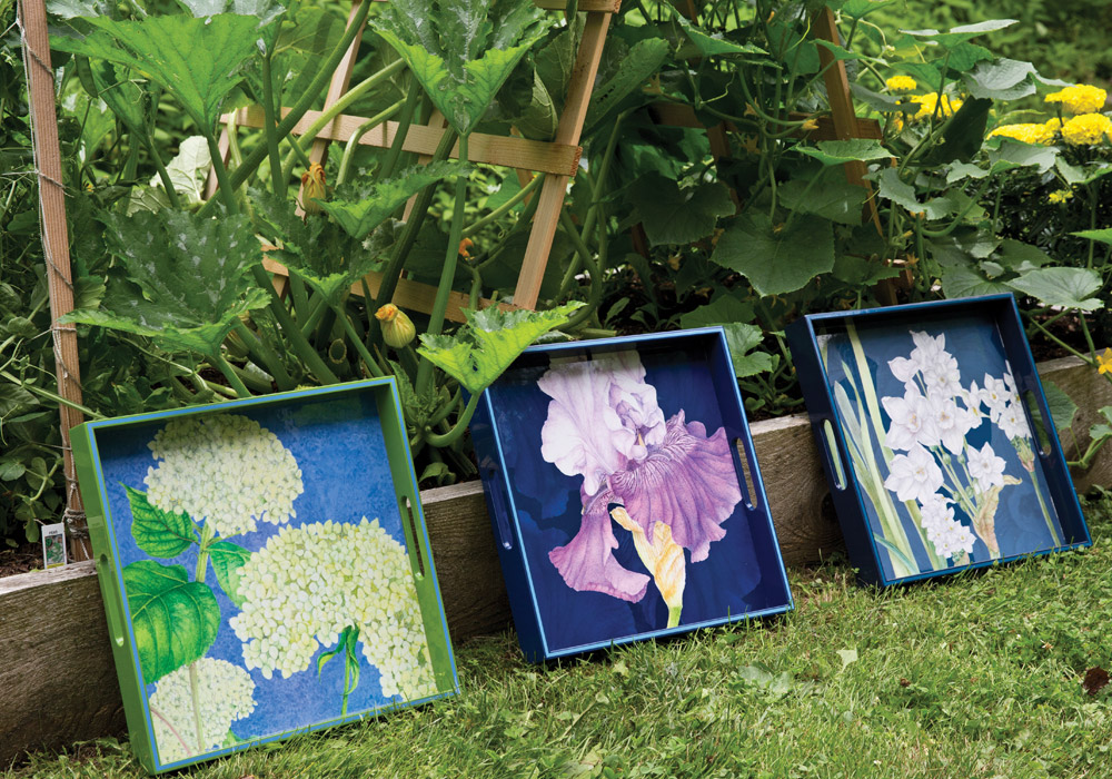 To Capture the Radiant Bloom