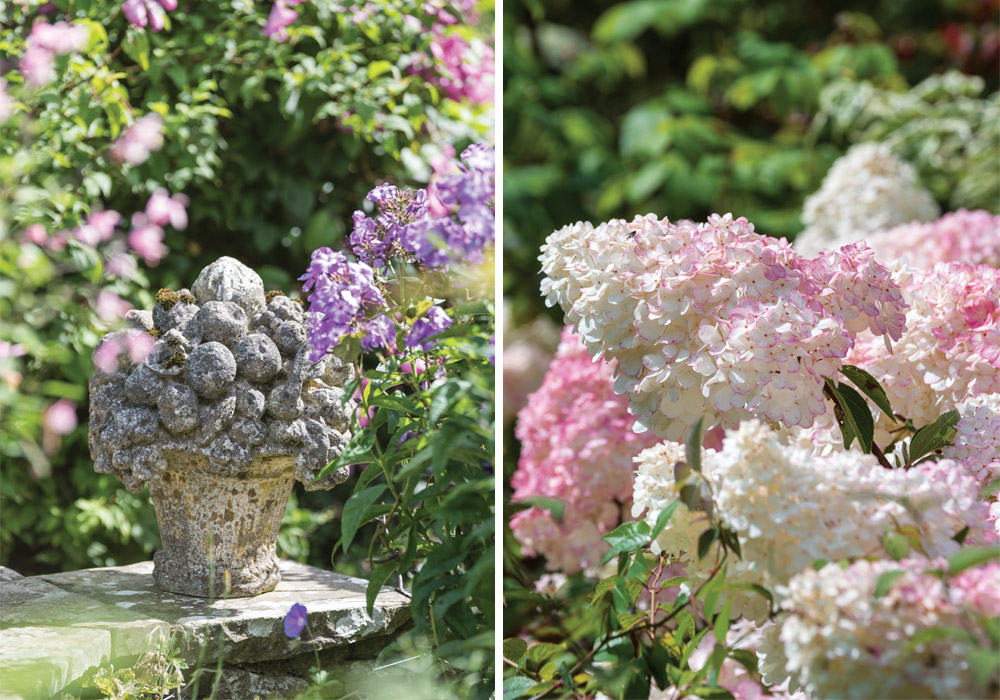 A Garden in the Glade