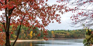 The Concord Literary Trail