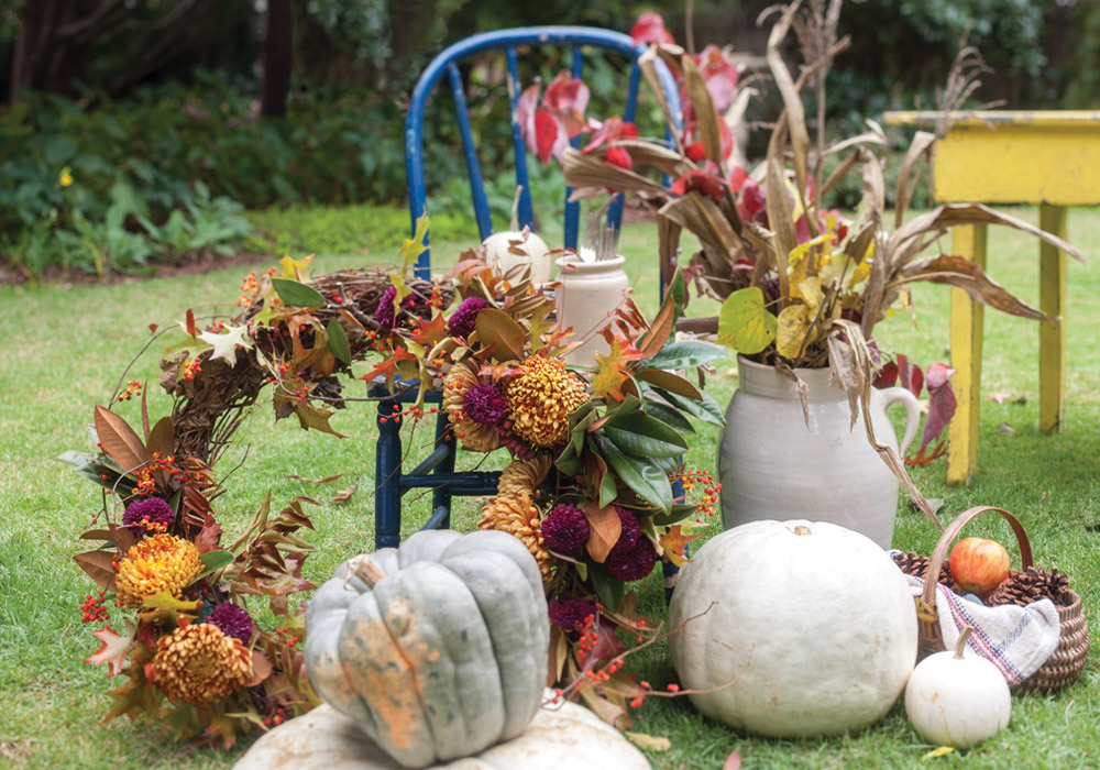 In Celebration of Apples