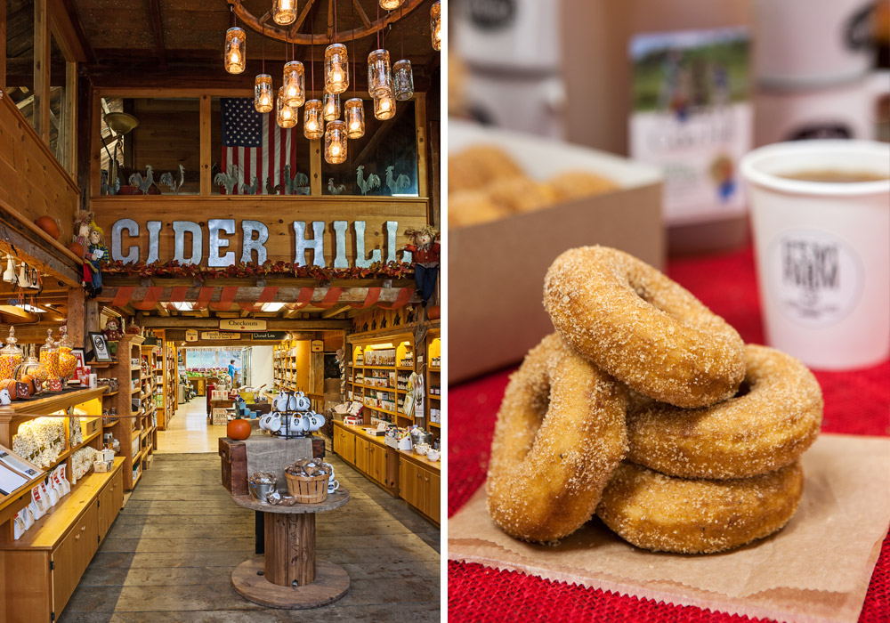 A Harvest of Delights at Cider Hill Farm