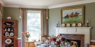 Portraits of Equine Elegance