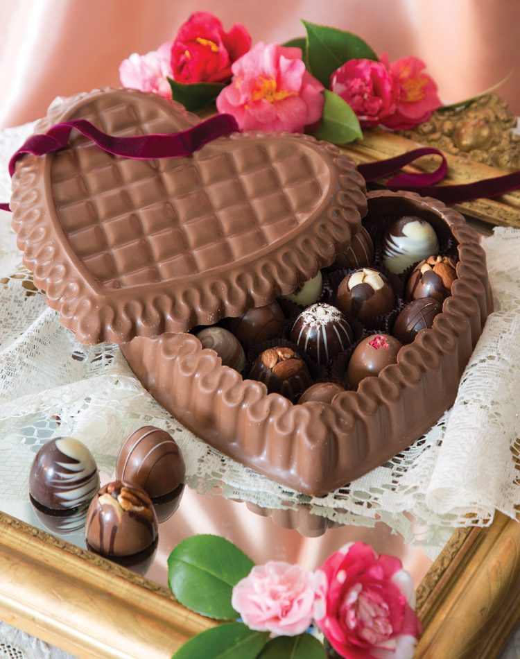 Camellias, How I Love Thee