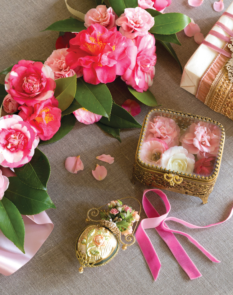 Camellias, How I Love Thee