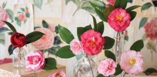Camellias, How I Love Thee