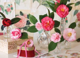 Camellias, How I Love Thee
