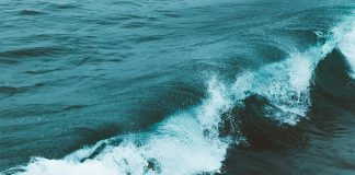 A Little Sea Bathing Would Set Me Up Forever By Jenna Jaxon