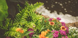 The Girl with the Sweetest Secret By Betina Krahn