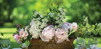 A French Cooking Entertaining Preview