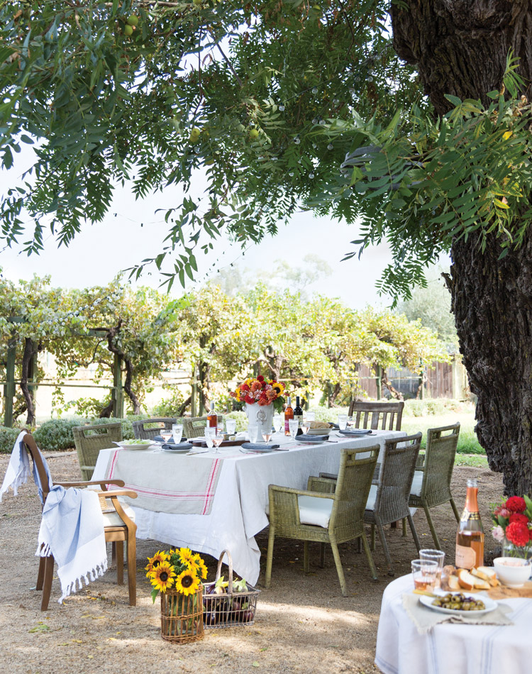  A French Cooking Entertaining Preview