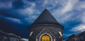 Lady Notorious By Theresa Romain