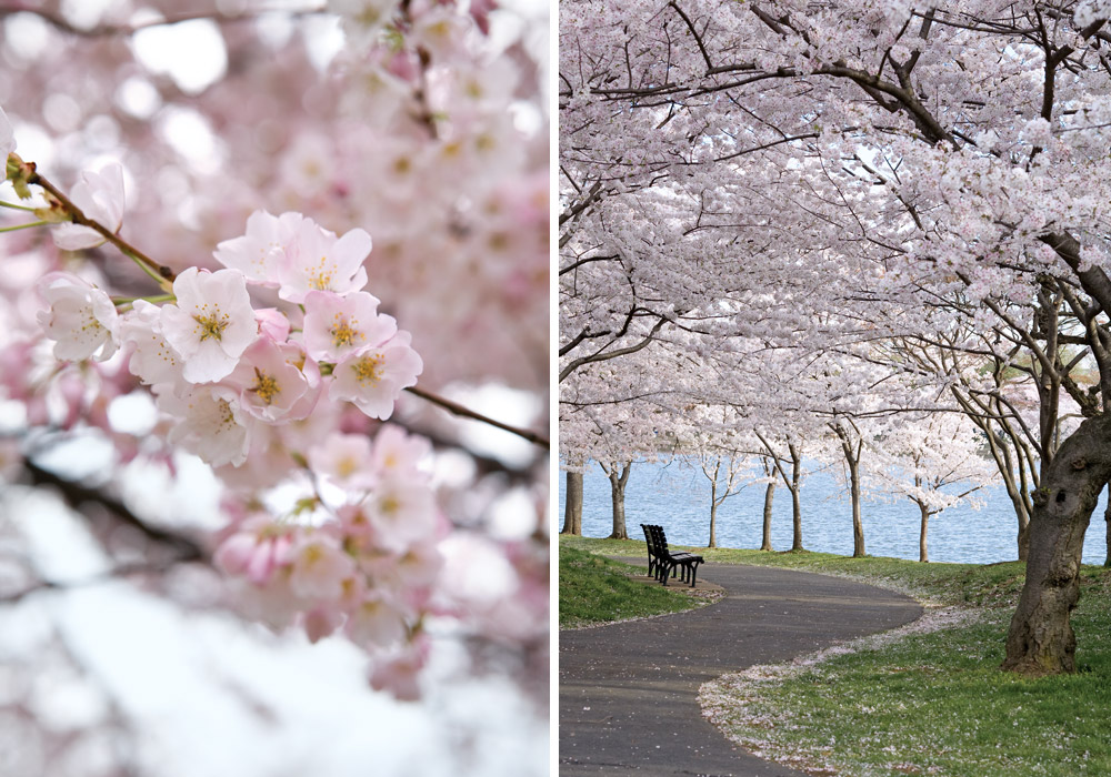 Springtime Destinations