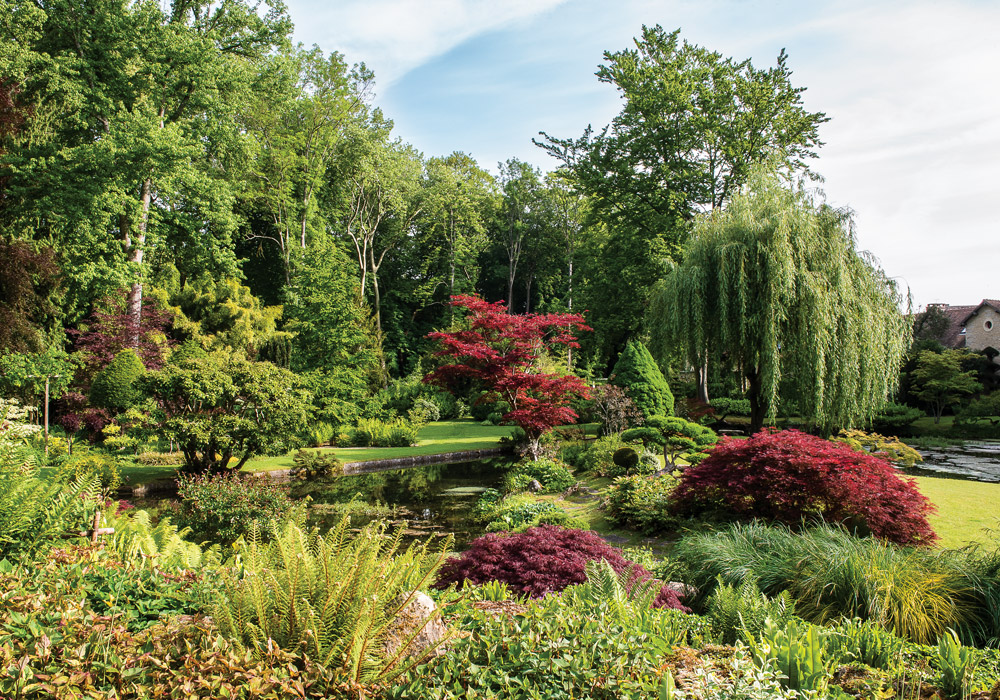 At the Water’s Edge