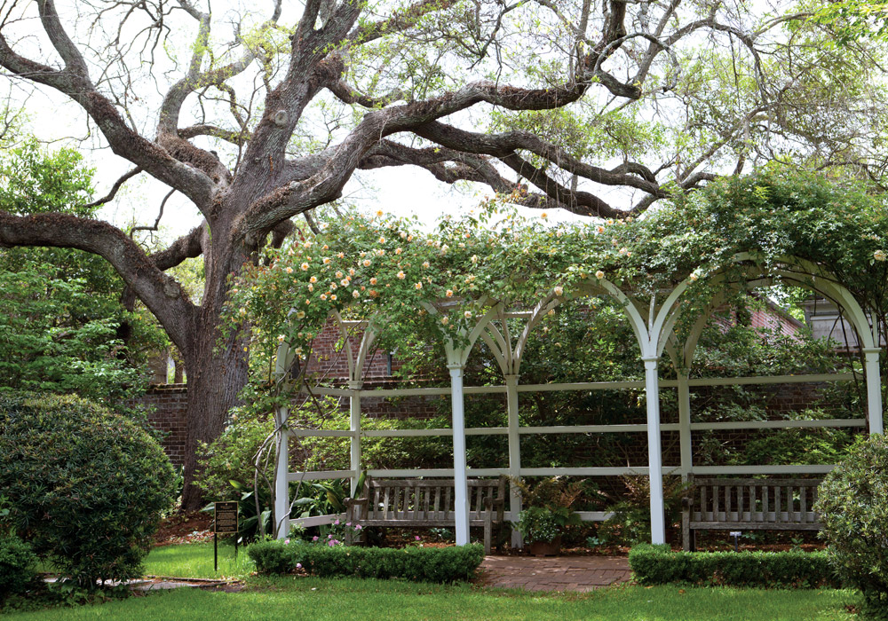 Springtime Destinations