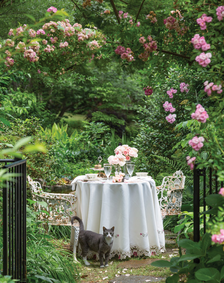 The French Issue: A May/June 2019 Preview