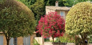 In the South of France