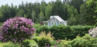 A Cottage Style Preview
