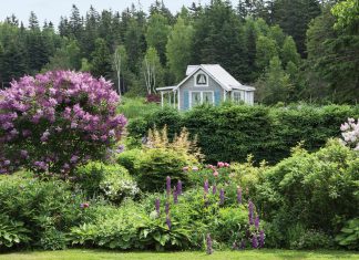 A Cottage Style Preview