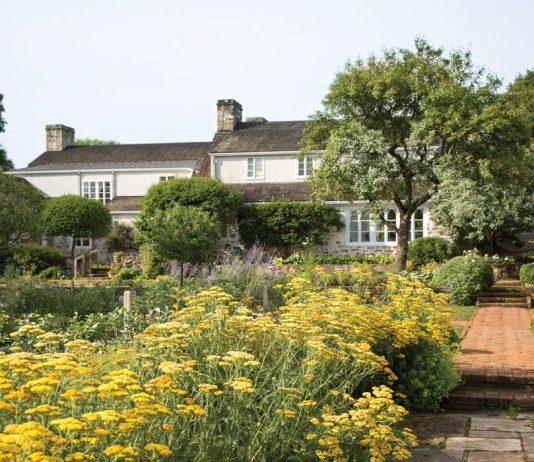 The Heart of a Gardener