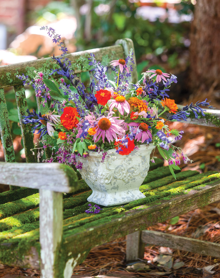 Allure of the Cottage Garden