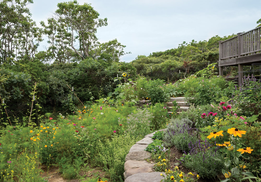 On an Island Bright and Fair