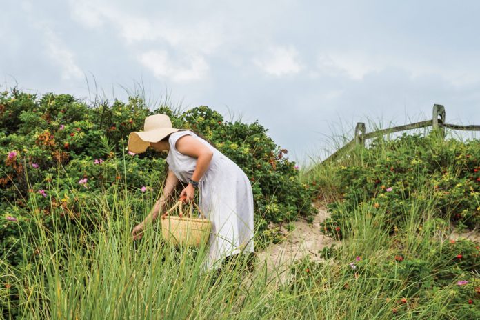 On an Island Bright and Fair