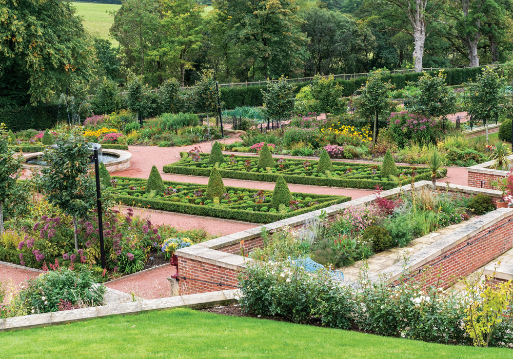 A Royal Intervention