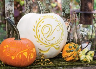 An Autumn Welcome