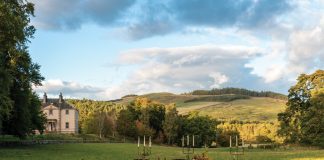 A Feast of Scottish Splendor