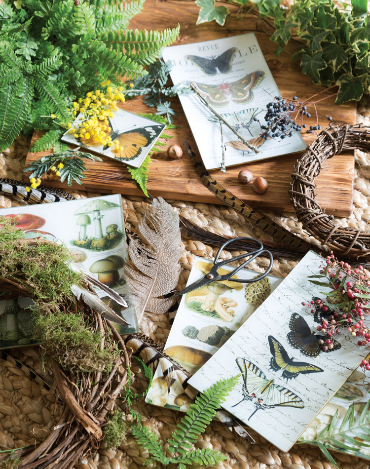A Collected Autumn