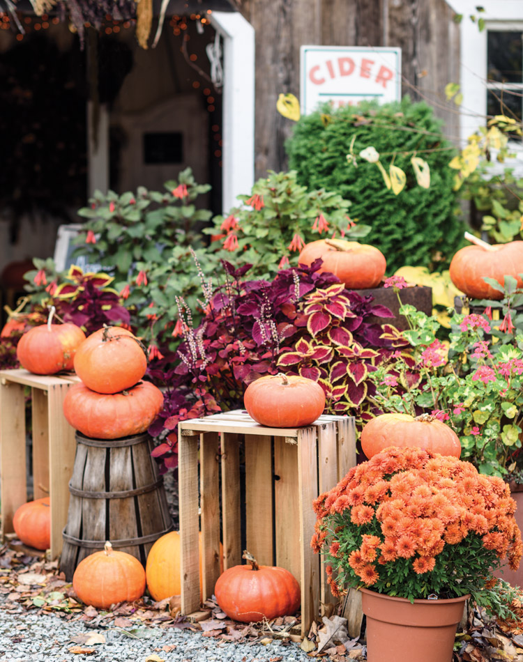An Autumn Bliss Preview