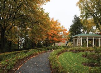A Quiet Grandeur