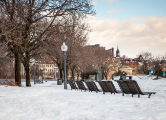 A Snowy Interlude in Old Montréal