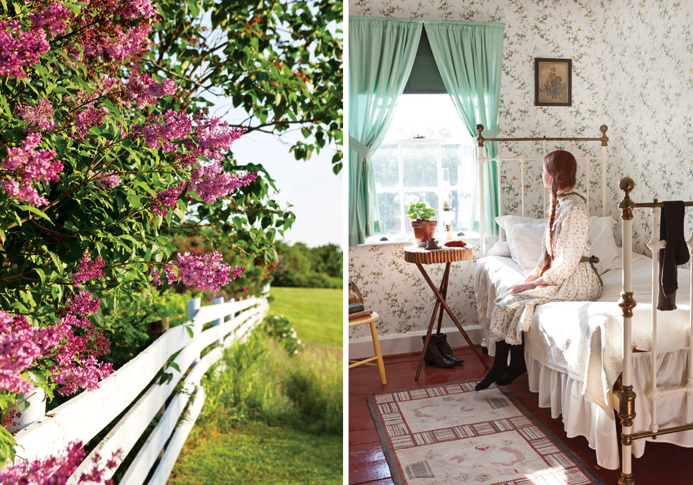 Announcing Our New Book Club Theme