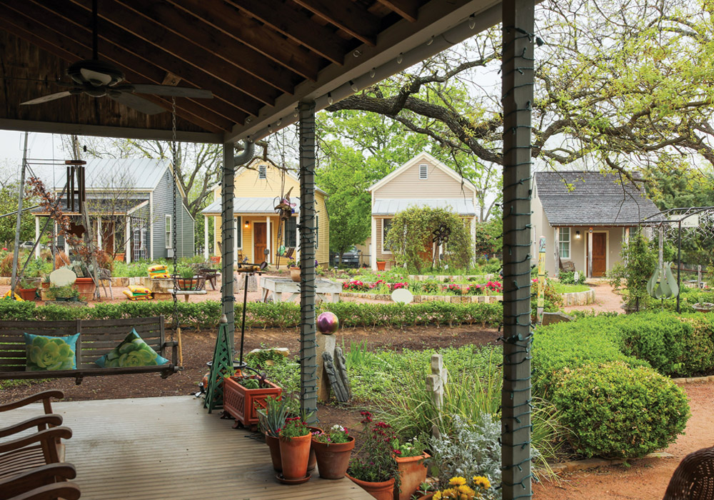 Where the Bluebonnets Grow