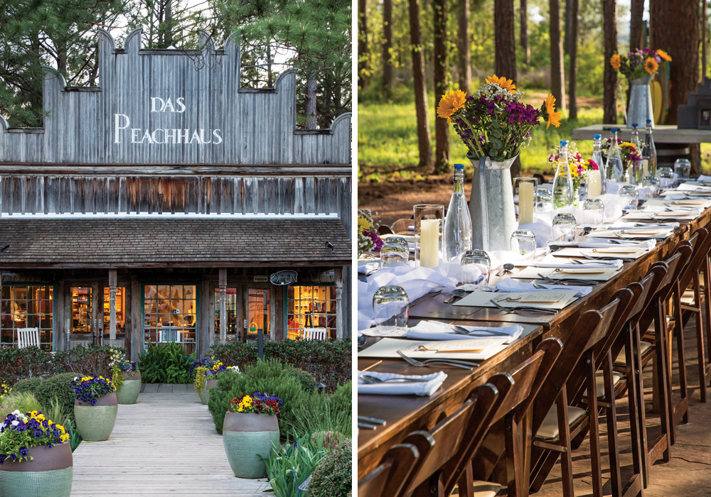 Where the Bluebonnets Grow