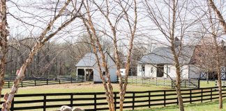 Shepherding a Dream