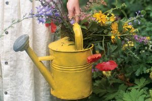 The Secret Garden Tea