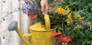 The Secret Garden Tea