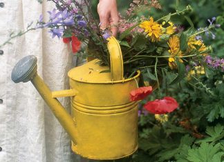The Secret Garden Tea