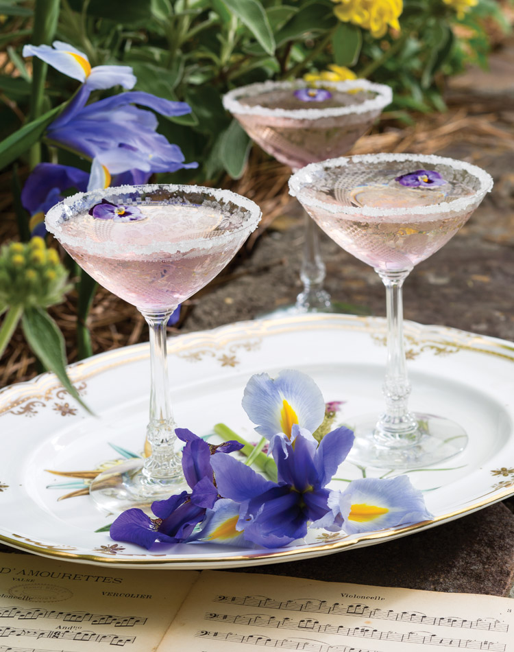 A Note of Floral Beauty