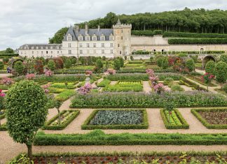 The French Issue: A May/June 2020 Preview