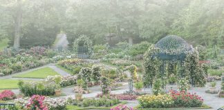 A Flowers & Gardens 2020 Preview