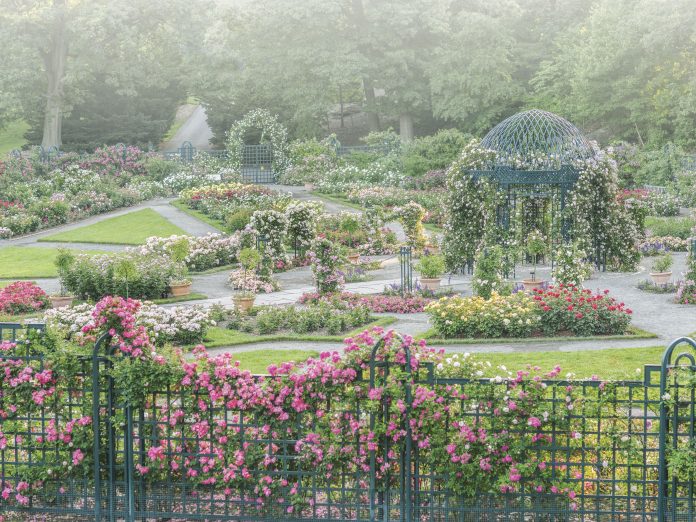 A Flowers & Gardens 2020 Preview