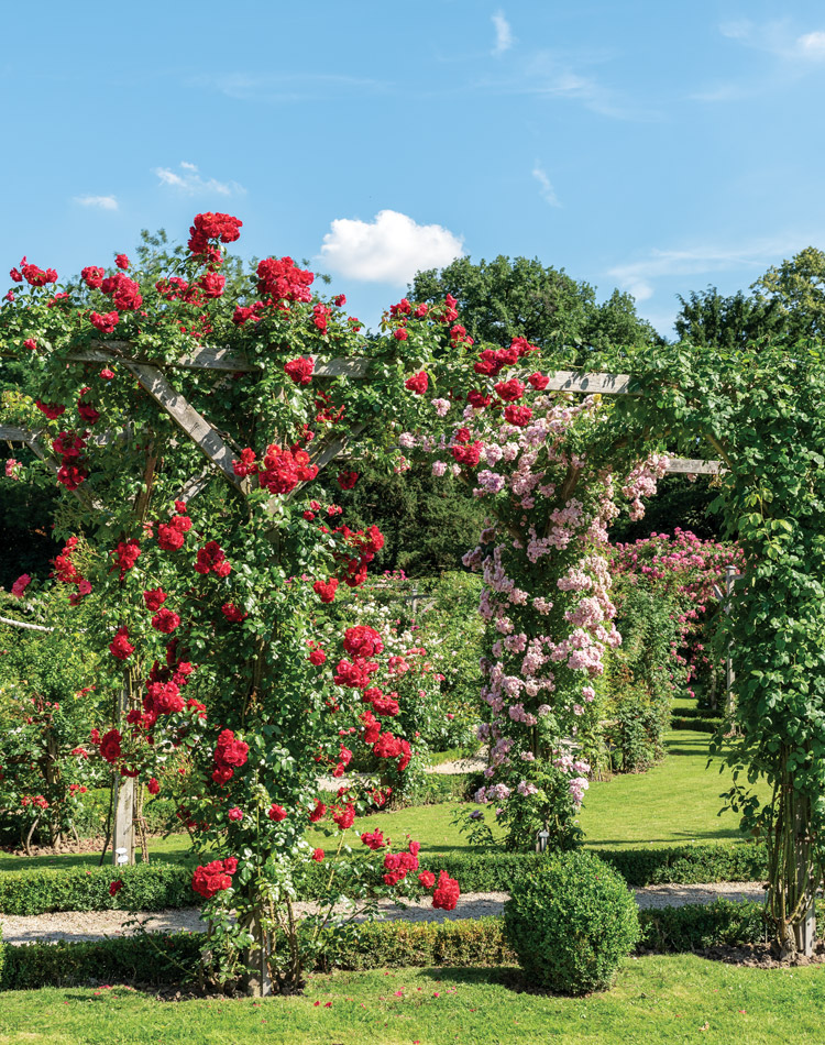 Gardens of Paris