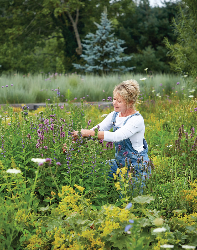Her Own Secret Garden