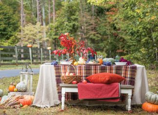 The Autumn Issue: An October 2020 Preview