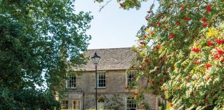 The British Issue: A September 2020 Preview
